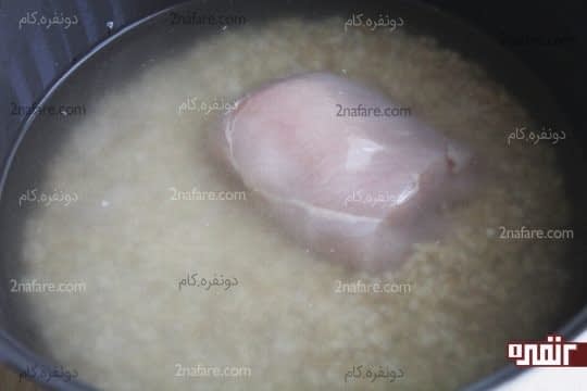 مرغ و گندم