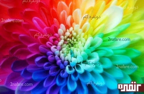 روانشناسی و خواص روانی رنگها