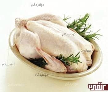 مرغ سالم