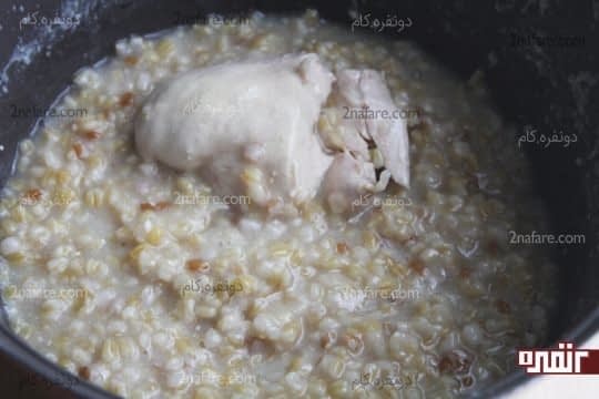 مرغ و گندم پخته شده
