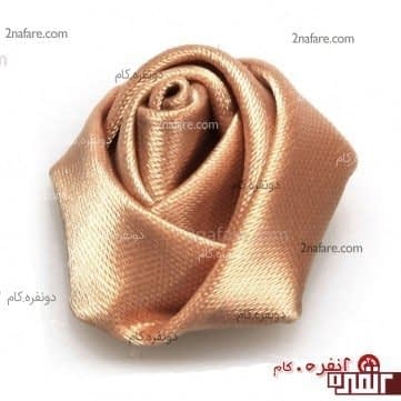 گل رز زیبا با روبان