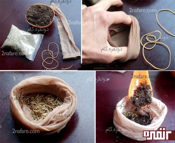 آموزش سبزه عیدعروسکی