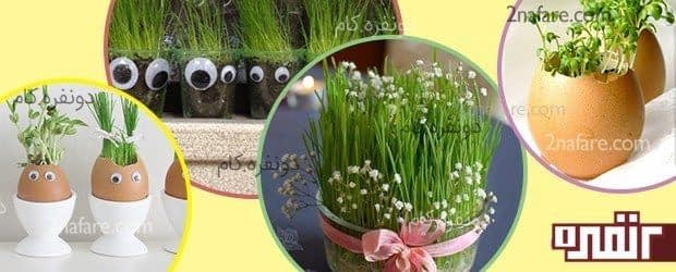 تزیین سبزه برای سفره هفت سین تزیین سبزه