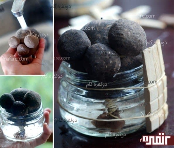 سبزه عید فانتزی