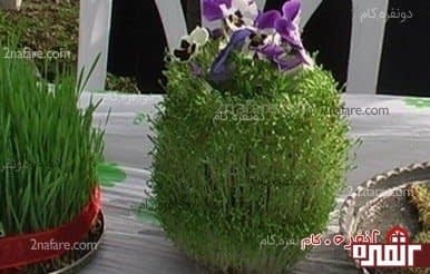 سبزه کوزه ای