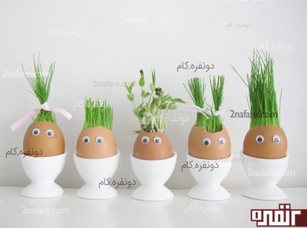 سبزه عید تخم مرغی سبزه در تخم مرغ