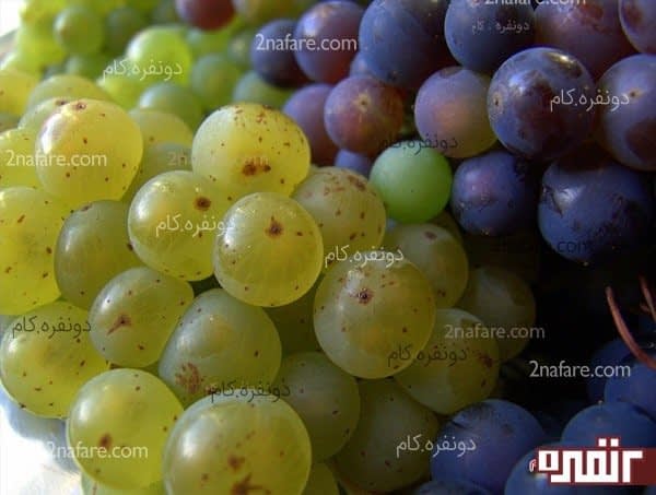ماسک انگور