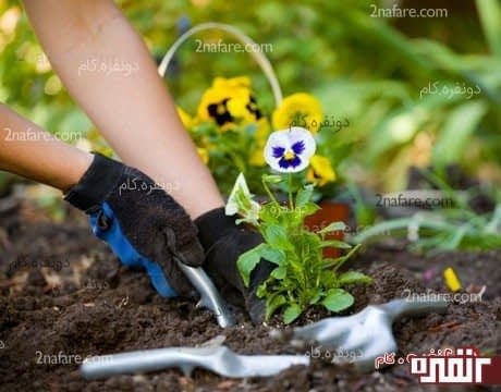 باغبانی کردن، ورزشی مناسب و سبک