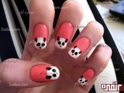 پانداهای سفید روی لاک رنگی