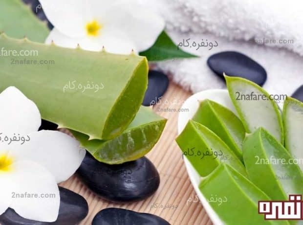 درخشندگی پوست و مو با آلوئه ورا آلوئه ورا