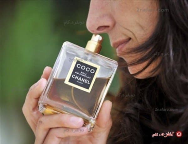 تفاوت بوی عطر و تقلبی