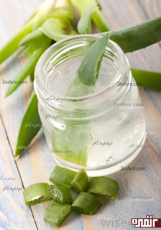 خواص آلوئه ورا برای مو