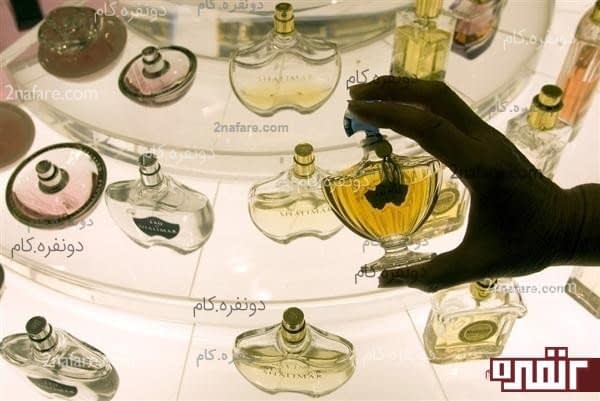 تکنیک های تشخیص عطر اصل از تقلبی
