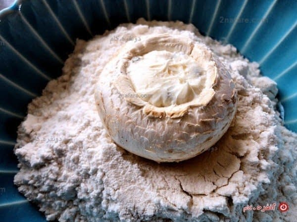 سوخاری کردن قارچ