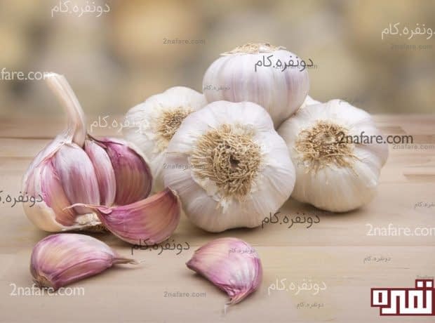 سیر و سلامتی سیر و سلامتی