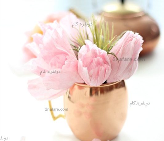 گل لاله رومیزی