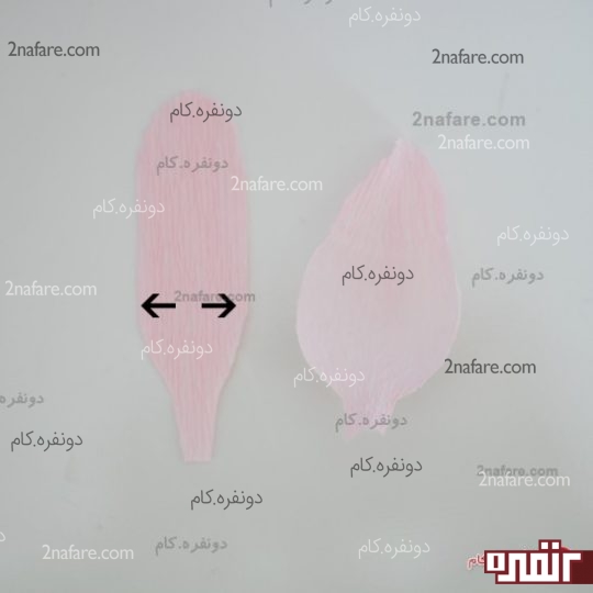 گلبرگ داخلی