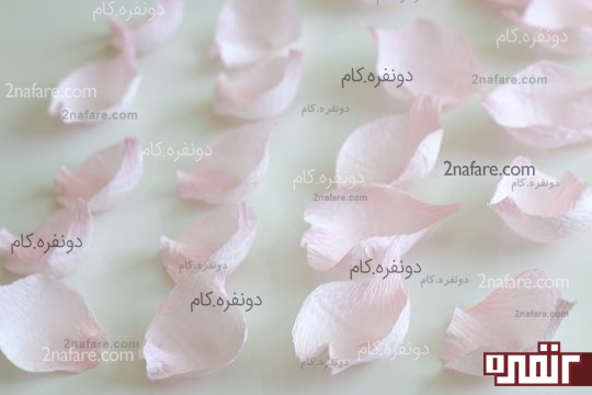 گلبرگ های آماده