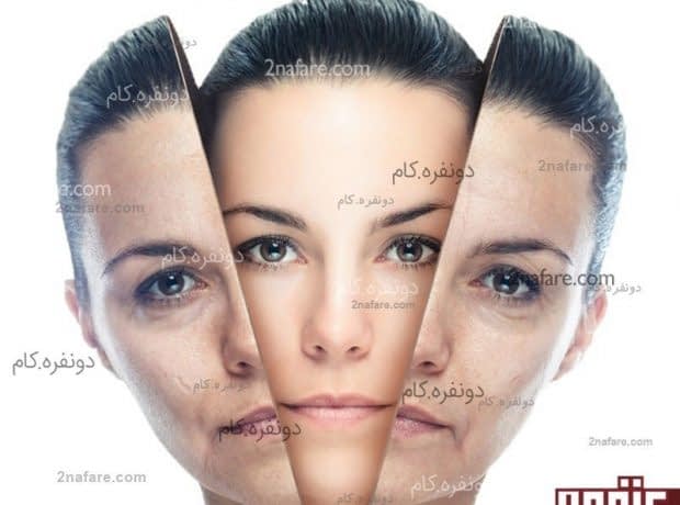 مواد غذایی موثر برای مقابله با پیری مواد غذایی موثر برای مقابله با پیری