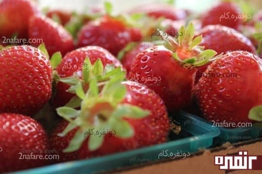 توت فرنگی