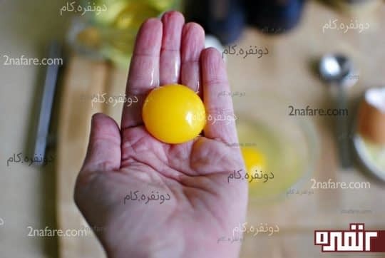 زرده تخم مرغ