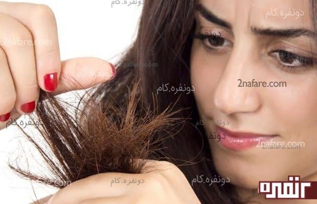 درمان موخوره با روش های طبیعی و خانگی موخوره