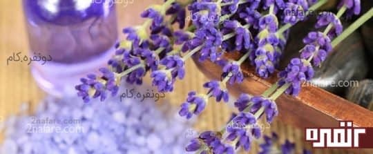 اسطوخودوس دیازپام طبیعی