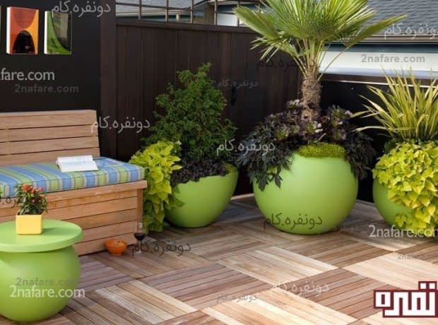 گیاهان مفید در فضای خانه گیاهان تاثیرگذار در فضای خانه