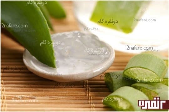 آلوئه ورا براق کننده ی مو