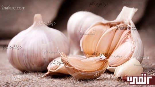 سیر بدبوی پرخاصیت