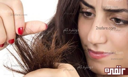 موخوره