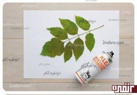 برگ ها را روی بوم قرار دهید