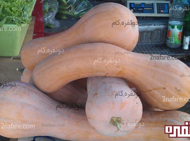 خواص غذایی کدو تنبل کدو