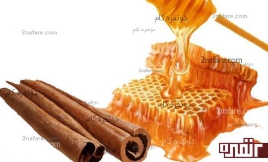 مصرف دارچین و عسل در کنار شیر باعث هضم بهتر غذا میشود