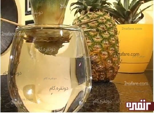 تاج آناناس را داخل لیوان آب قرار دهید