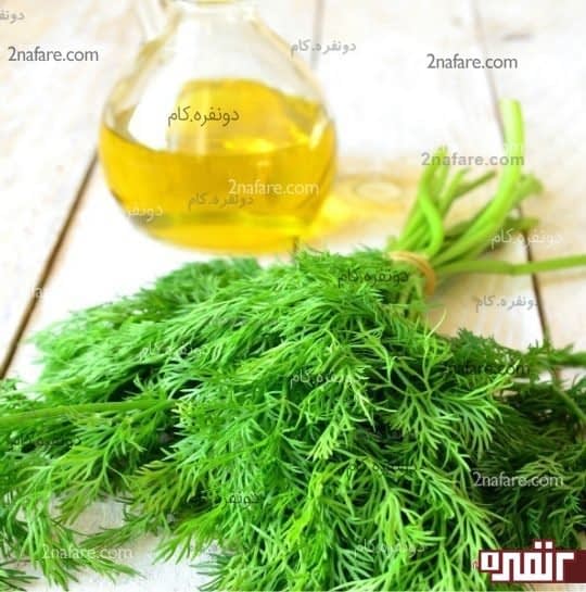 روغن شوید