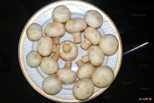 قارچ