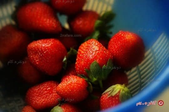 توت فرنگی