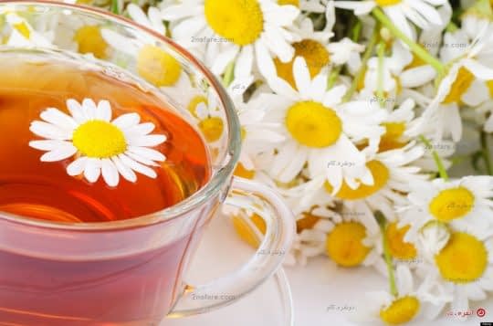 گل بابونه