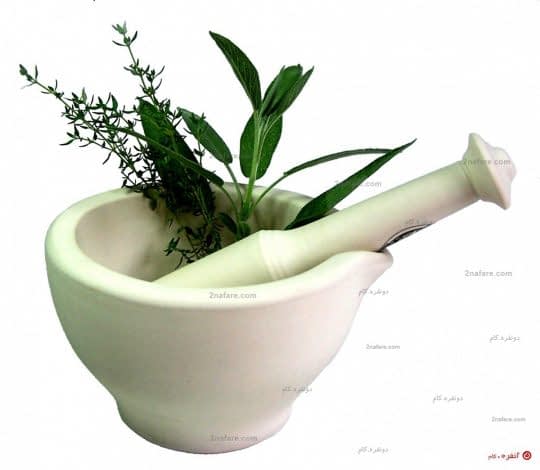 گیاهان دارویی برای سر درد