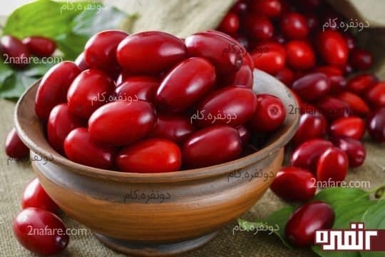زغال اخته