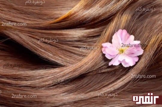آب و سلامت مو