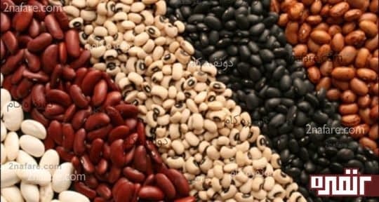 انواع لوبیا