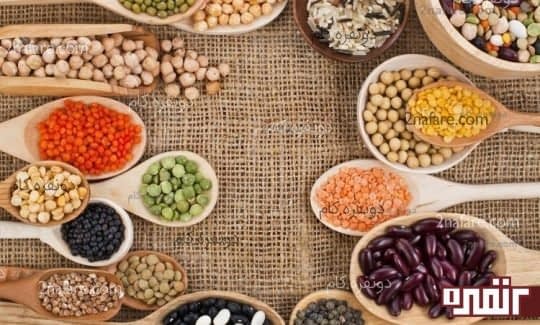 گیاهان سرشار از پروتئین