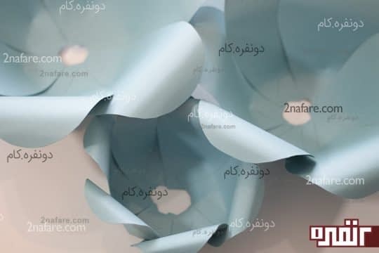گلبرگ ها در سه سایز مختلف آماده اند