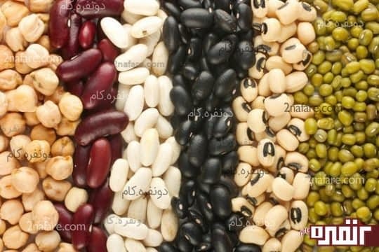 لوبیا