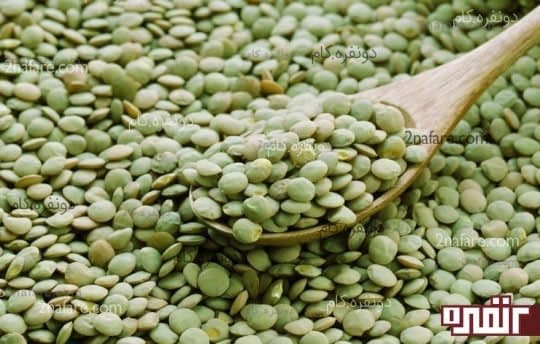 عدس سرشار از آهن
