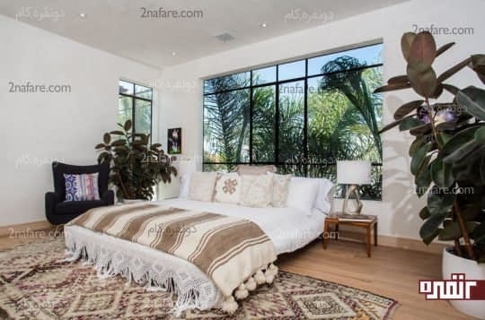 گیاهان و پاکی هوا