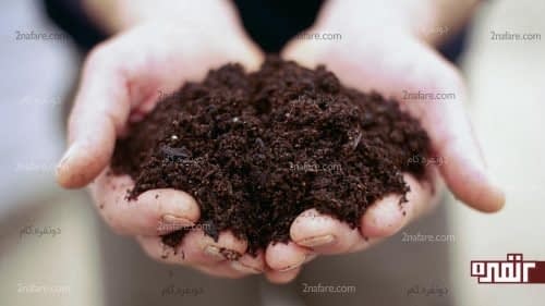 خاک مناسب رشد گیاه