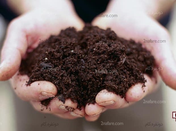 rid mold plant soil 700bb4ee6eca4d47 620x460 - بهترین ماده برای بستر نشاء کدام است ؟